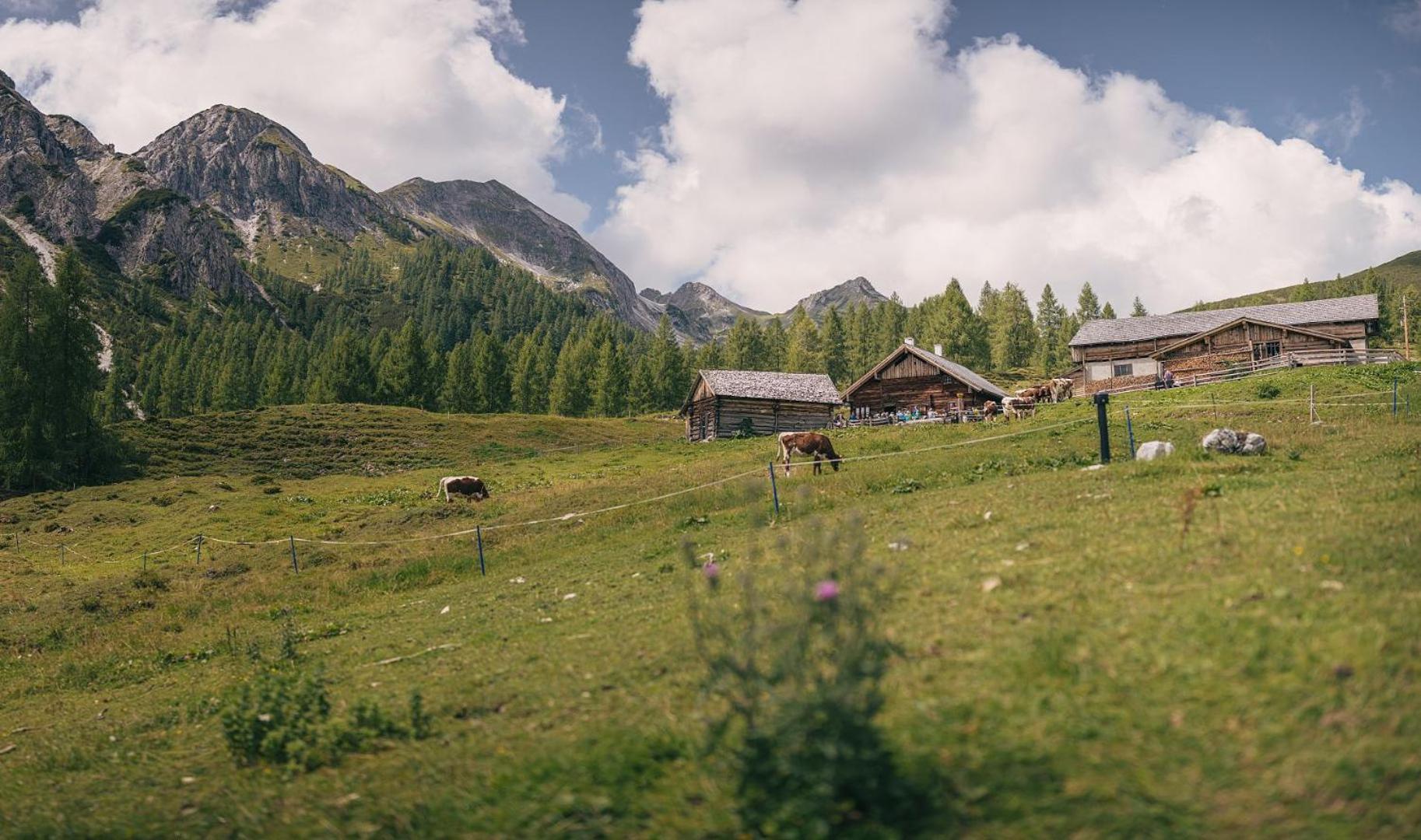 Hotel Sportalmmm, Hoch-Genuss (Adults Only) Zauchensee Exterior photo